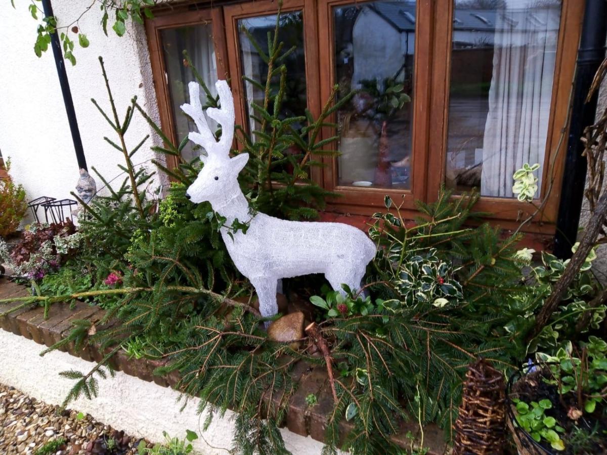 Charming Gnome Cottage In Devon Near Sidmouth Ottery St Mary Exterior foto